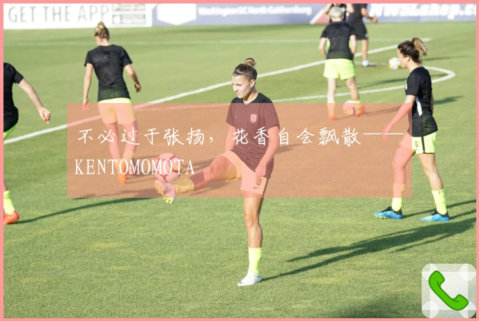 不必过于张扬，花香自会飘散——KENTOMOMOTA