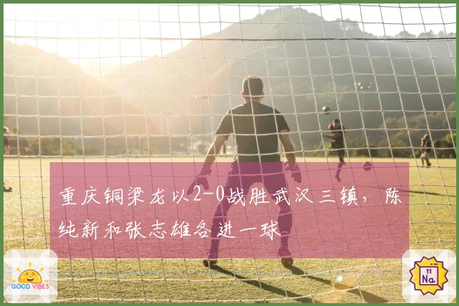 重庆铜梁龙以2-0战胜武汉三镇，陈纯新和张志雄各进一球