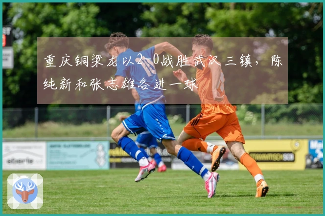 重庆铜梁龙以2-0战胜武汉三镇，陈纯新和张志雄各进一球