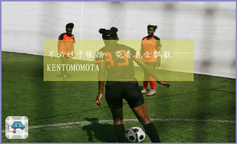 不必过于张扬，花香自会飘散——KENTOMOMOTA